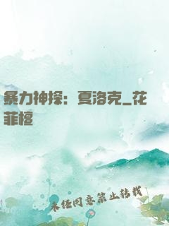 暴力神探：夏洛克