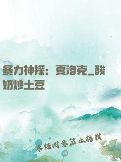 暴力神探：夏洛克