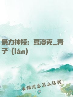 暴力神探：夏洛克