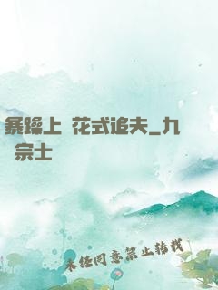 暴躁上將花式追夫