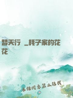 替天行盜