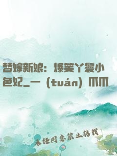 替嫁新娘：爆笑丫鬟小色妃