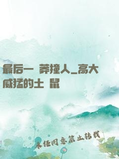 最后一個莽撞人