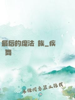 最后的魔法貴族