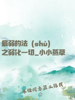 最弱的法術(shù)之弱化一切