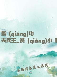 最強(qiáng)功夫兵王