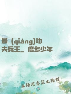 最強(qiáng)功夫兵王
