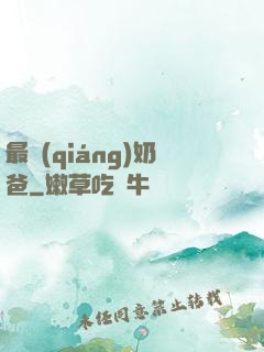 最強(qiáng)奶爸