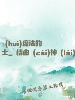 會(huì)魔法的騎士