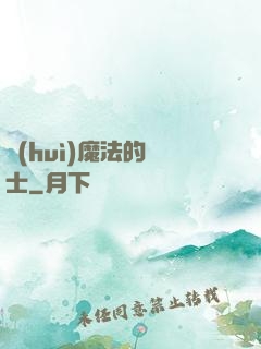 會(huì)魔法的騎士