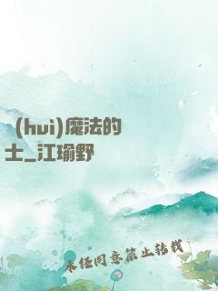 會(huì)魔法的騎士
