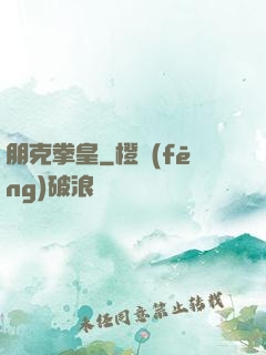 朋克拳皇