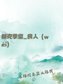 朋克拳皇