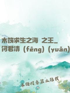 木筏求生之海島之王
