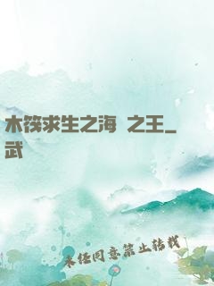 木筏求生之海島之王