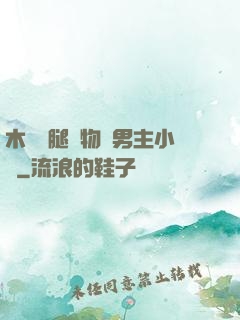 木馬雙腿墜物雙男主小說
