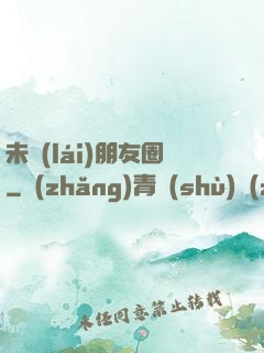 未來(lái)朋友圈