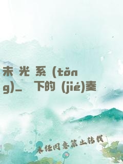 未來光腦系統(tǒng)