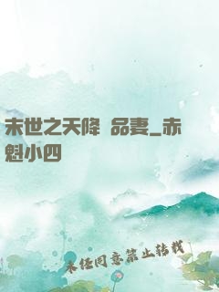 末世之天降極品妻