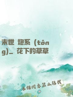 末世槍炮系統(tǒng)