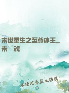 末世重生之至尊冰王