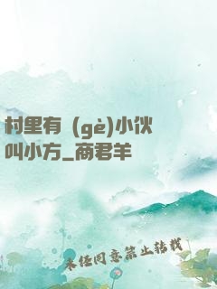 村里有個(gè)小伙叫小方
