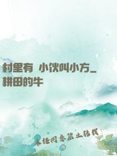 村里有個小伙叫小方