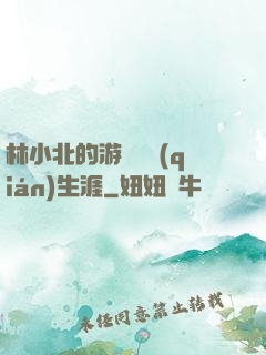 林小北的游戲賺錢(qián)生涯