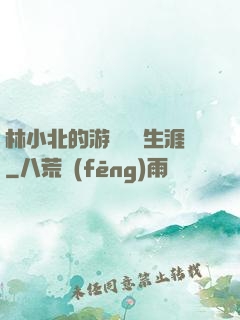 林小北的游戲賺錢生涯