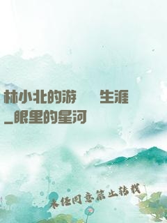 林小北的游戲賺錢生涯