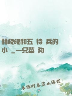林晚晚和五個特種兵的小說