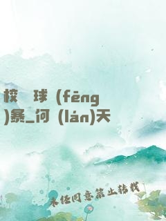 校園籃球風(fēng)暴
