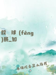 校園籃球風(fēng)暴