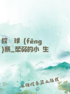 校園籃球風(fēng)暴