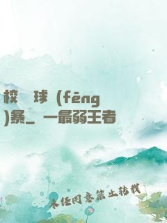 校園籃球風(fēng)暴