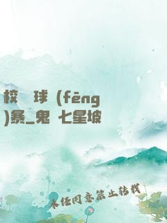 校園籃球風(fēng)暴