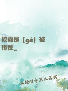 校霸是個(gè)雙被爆炒