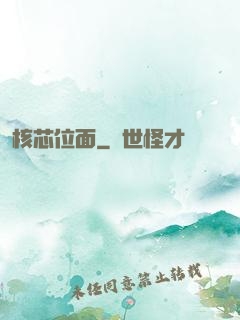 核芯位面