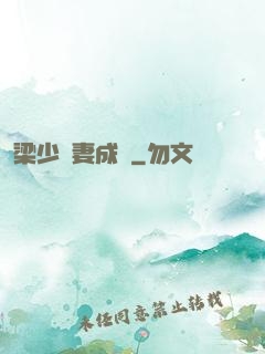 梁少寵妻成癮