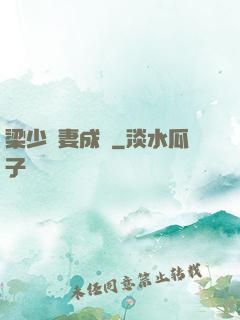 梁少寵妻成癮