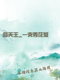 極品天王