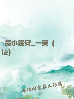 極品小保安