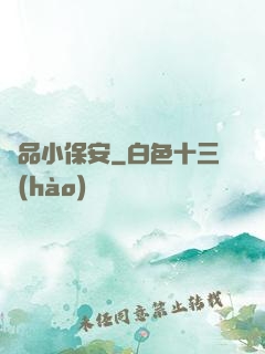 極品小保安