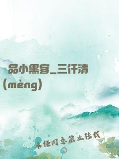 極品小黑客