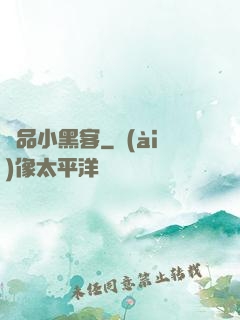 極品小黑客