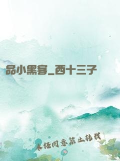 極品小黑客