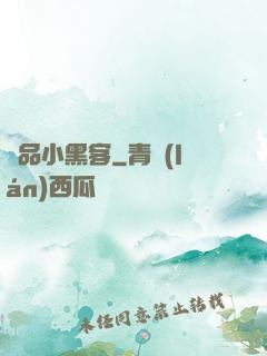 極品小黑客