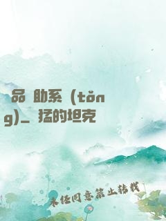 極品輔助系統(tǒng)