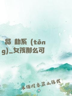 極品輔助系統(tǒng)