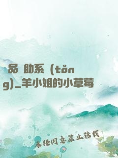 極品輔助系統(tǒng)